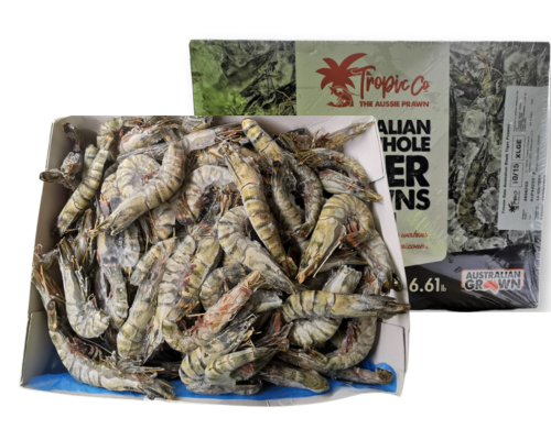 Prawn Whole-Raw Tiger 10/15 (3kg)