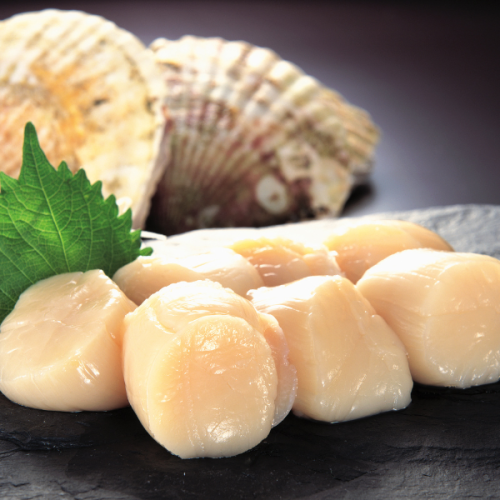 Scallops