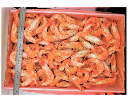 Prawn Whole-Cooked Vannamei U10 (5kg)