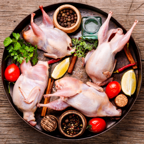 Duck & Quail