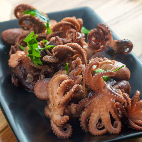 Octopus