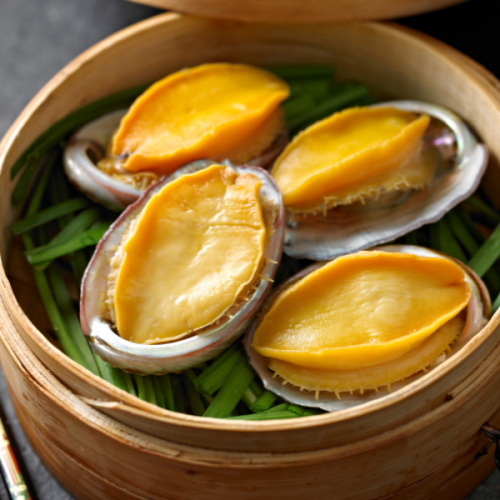 Other Mollusc