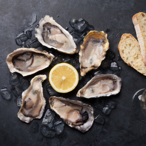 Oysters
